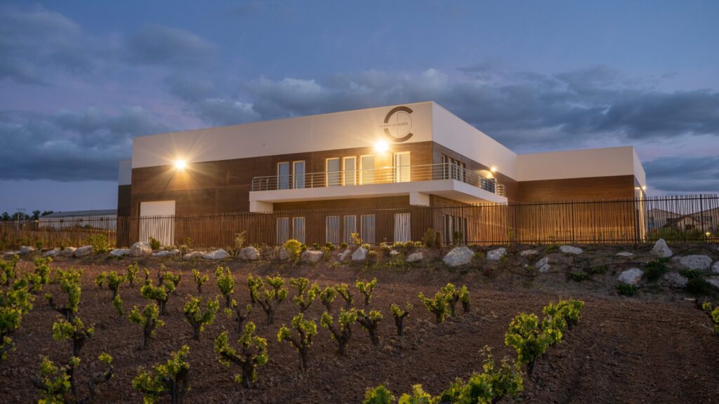 Los mejores vinos de Ribera del Duero, según Pedro Ballesteros