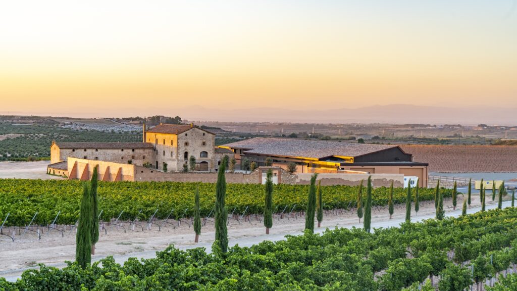 Purgatori 2022 se reencuentra con su alma ancestral