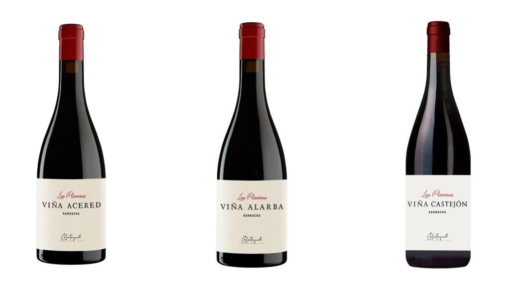 Las Pizarras, la sincera expresión de unas garnachas aragonesas