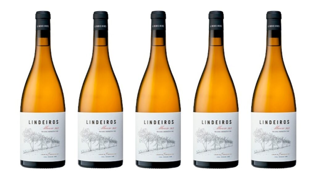 Lindeiros 2022: el futuro ya está aquí