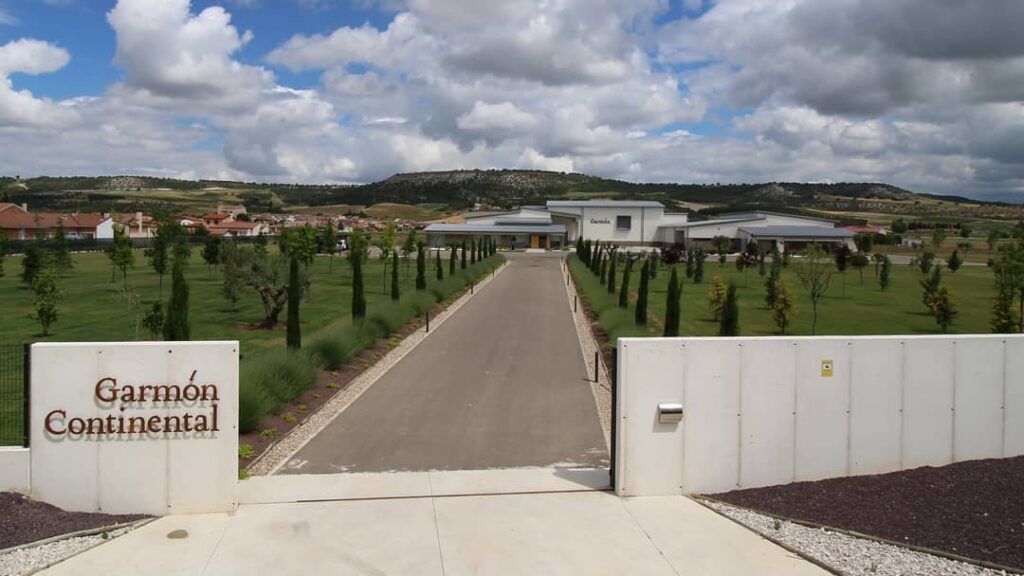 Garmón 2021, entre los vinos con mejor calidad-precio del mundo, según Wine Searcher