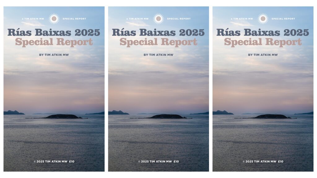 Los mejores vinos de Rías Baixas, según Tim Atkin