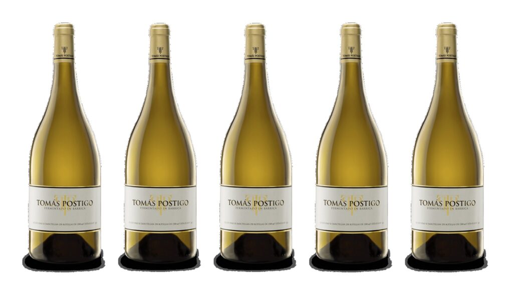 Tomás Postigo Verdejo Fermentado en Barrica 2023: la variedad por bandera