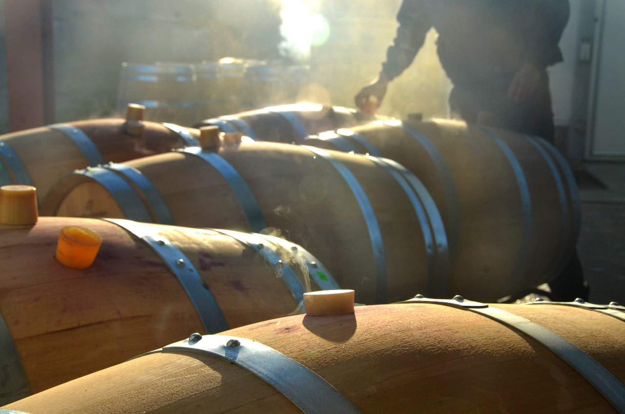 TOMÁS POSTIGO BARRICAS