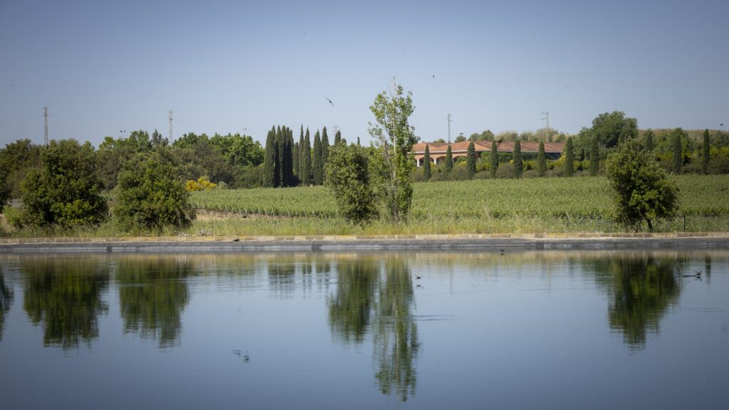 Familia Torres, marca más admirada de España y tercera del mundo