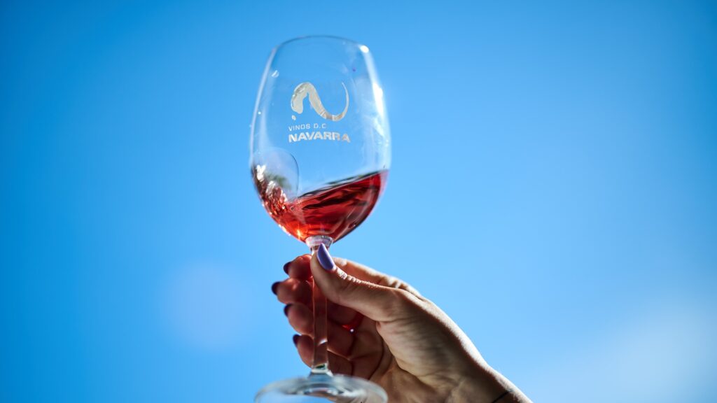 Los mejores vinos de Navarra, según Beth Willard