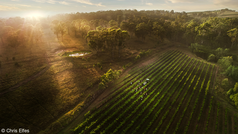 Un español, un australiano y un francés, mejores fotógrafos del vino