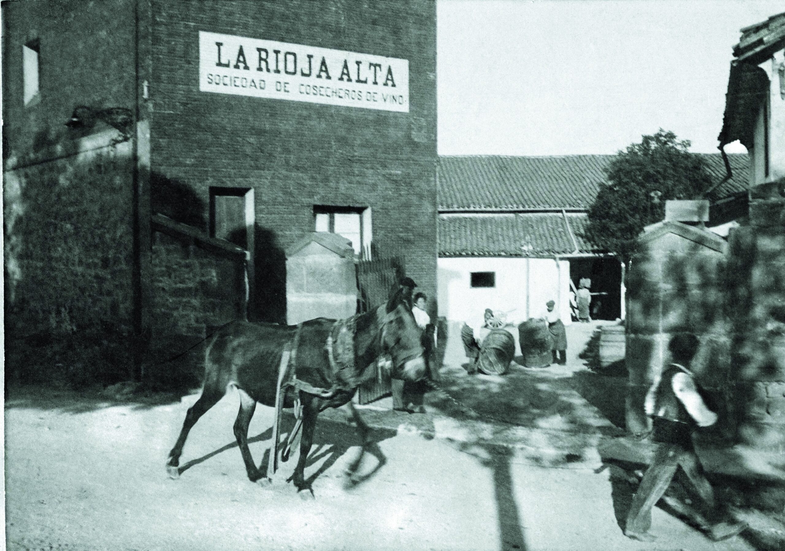 Antigua entrada a la bodega